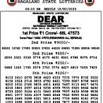 dear lottery nagaland